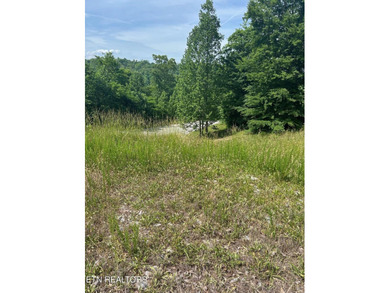 Want a lakeview lot in a great community in the middle of Norris - photo 3