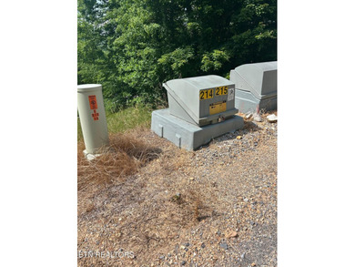 Want a lakeview lot in a great community in the middle of Norris - photo 4