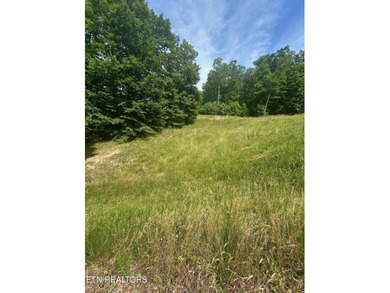 Want a lakeview lot in a great community in the middle of Norris - photo 6