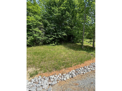 Want a lakeview lot in a great community in the middle of Norris - photo 7
