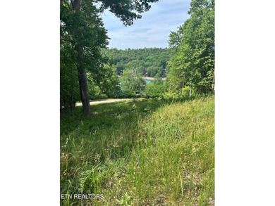 Want a lakeview lot in a great community in the middle of Norris - photo 8