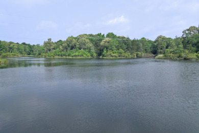 Home on 40 Acres with Approx 5 Acre Private Lake in Quitman Tx. - photo 25