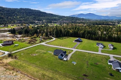This newly built home sits on a large acreage lot in the heart - photo 21