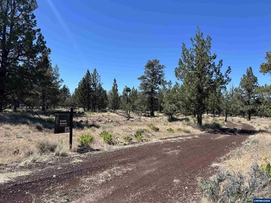 Highly coveted buildable lot inside 3 Rivers gated community - photo 2