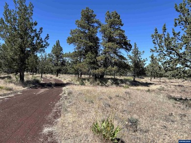 Highly coveted buildable lot inside 3 Rivers gated community - photo 3