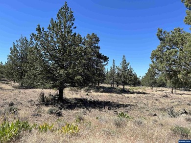 Highly coveted buildable lot inside 3 Rivers gated community - photo 4