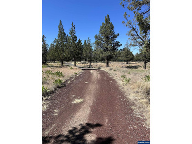 Highly coveted buildable lot inside 3 Rivers gated community - photo 5