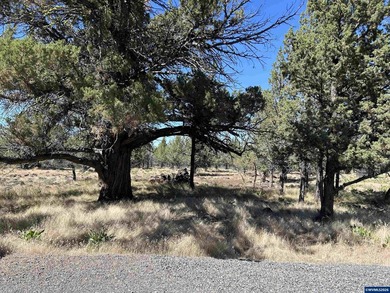 Highly coveted buildable lot inside 3 Rivers gated community - photo 10