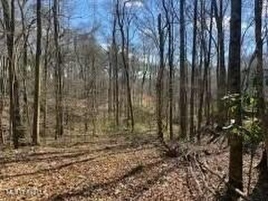 Discover the tranquility of a beautiful private lakefront lot - photo 2