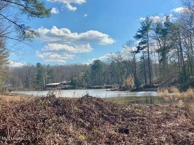 Discover the tranquility of a beautiful private lakefront lot - photo 3