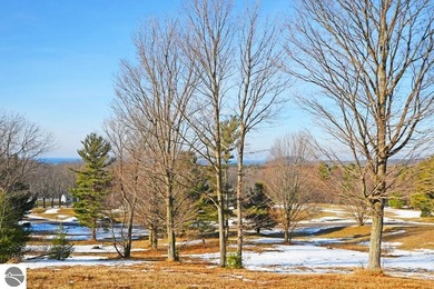 Lake Michigan - Leelanau County Lot For Sale in Empire Michigan