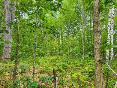 Nestled among the trees in the heart of Houghton Lake, this - photo 3