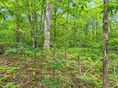Nestled among the trees in the heart of Houghton Lake, this - photo 5