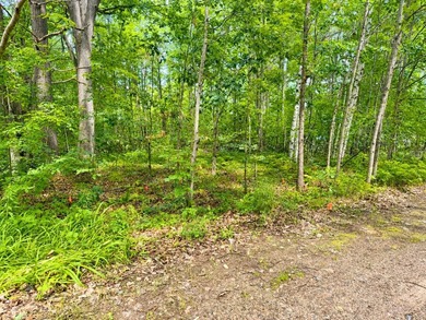 Nestled among the trees in the heart of Houghton Lake, this - photo 6