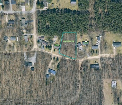 Nestled among the trees in the heart of Houghton Lake, this - photo 7