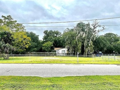 Lake Dora Lot For Sale in Tavares Florida