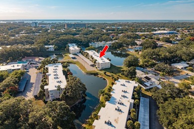 (private lake, pond, coastal) Condo For Sale in Dunedin Florida