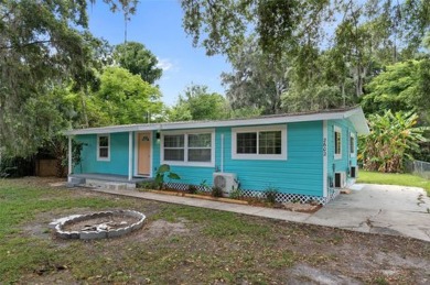 Lake Home For Sale in Lake Panasoffkee, Florida