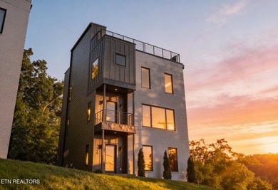Welcome to 2600 Vucrest Ave, a newly constructed, luxury modern - photo 1