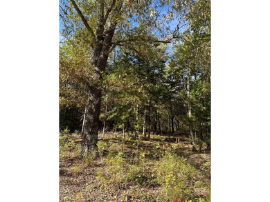 (private lake, pond, creek) Acreage For Sale in Sumner Texas