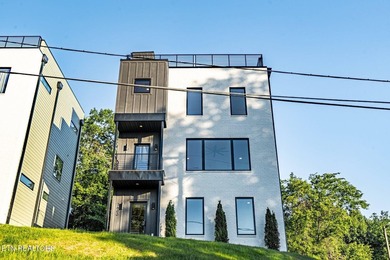 Welcome to 2600 Vucrest Ave, a newly constructed, luxury modern - photo 2