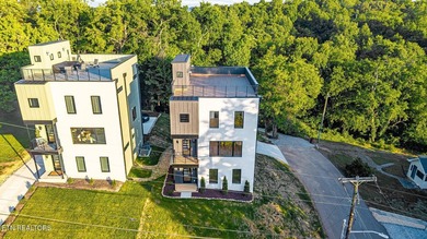 Welcome to 2600 Vucrest Ave, a newly constructed, luxury modern - photo 3