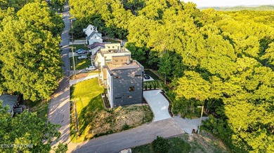 Welcome to 2600 Vucrest Ave, a newly constructed, luxury modern - photo 4