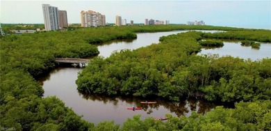 Rare Opportunity in one of Naples' most sought-after coastal - photo 45
