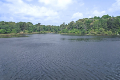 Home on 40 Acres with Approx 5 Acre Private Lake in Quitman Tx. - photo 26