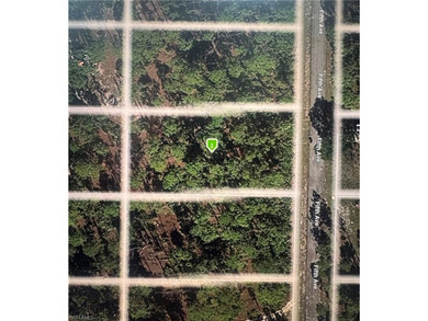 Lehigh Acres Area Lot For Sale in Lehigh Acres Florida