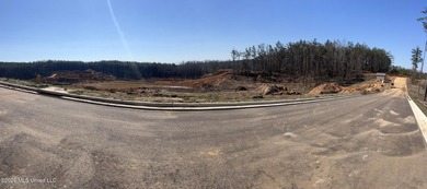 Introducing Lakeshore Drive Lot 6 located in The Grove at Grand - photo 3