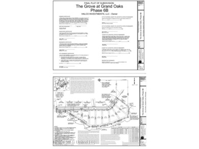 Introducing Lakeshore Drive Lot 6 located in The Grove at Grand - photo 4