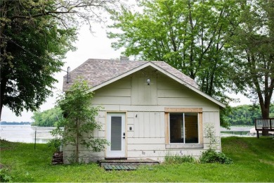 Lake Home For Sale in Cokato, Minnesota