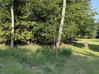 Lake Lot Sale Pending in Onekama, Michigan