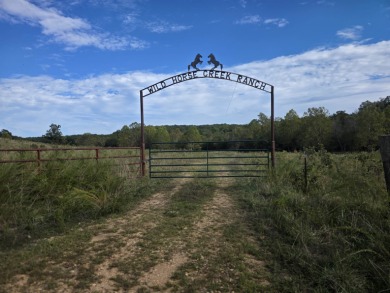 Lake Acreage For Sale in Ash Flat, Arkansas