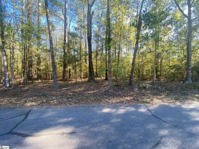 Lake Acreage For Sale in Waterloo, South Carolina