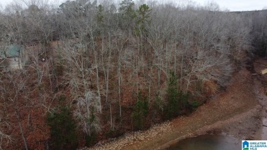 UNRESTRICTED Lake lot in the perfect location- below the NO WAKE  - Lake Lot SOLD! in Wedowee, Alabama