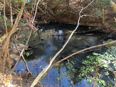 (private lake, pond, creek) Acreage For Sale in Spencer Tennessee