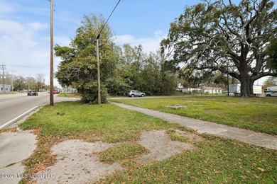Corner lot located near Downtown Gulfport. Perfect location for - photo 5