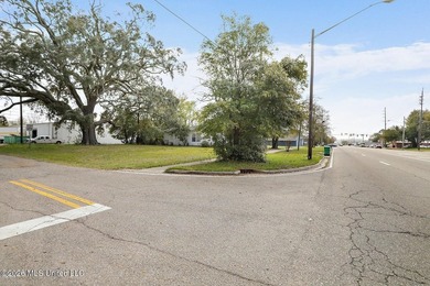 Corner lot located near Downtown Gulfport. Perfect location for - photo 6