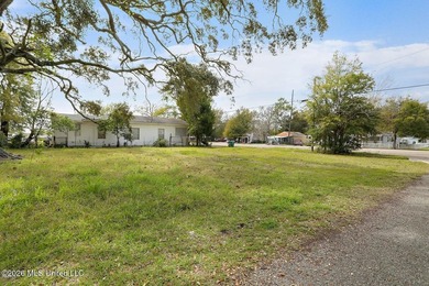 Corner lot located near Downtown Gulfport. Perfect location for - photo 9