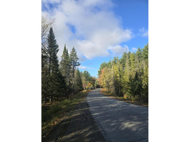 Lake Acreage For Sale in Abbot, Maine