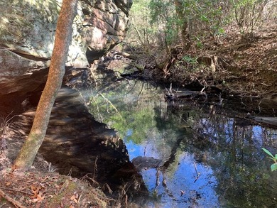 (private lake, pond, creek) Acreage For Sale in Spencer Tennessee