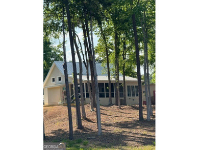 Welcome to the lake! Beautiful lakefront home on Clarks Hill - photo 4