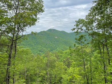 Fontana Lake Acreage For Sale in Bryson City North Carolina