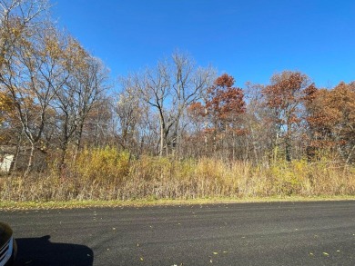 Lake Lot For Sale in Onsted, Michigan
