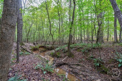 (private lake, pond, coastal) Acreage For Sale in Stephens Georgia