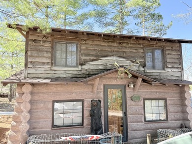 Lake Geneva - Montmorency County Home For Sale in Atlanta Michigan
