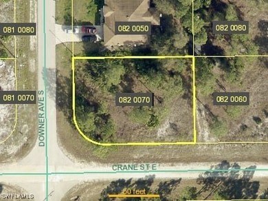 Lehigh Acres Area Lot For Sale in Lehigh Acres Florida
