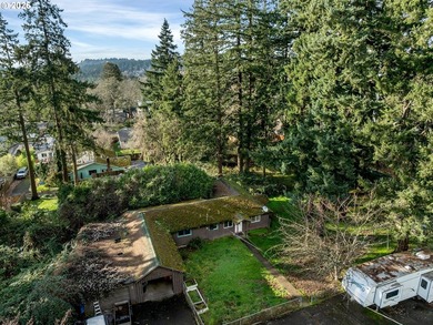 Great development opportunity on a one-acre lot in Milwaukie. A - photo 4